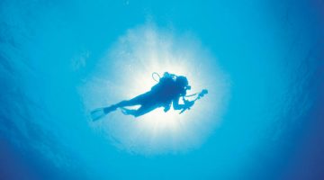dive-drive dive-drive